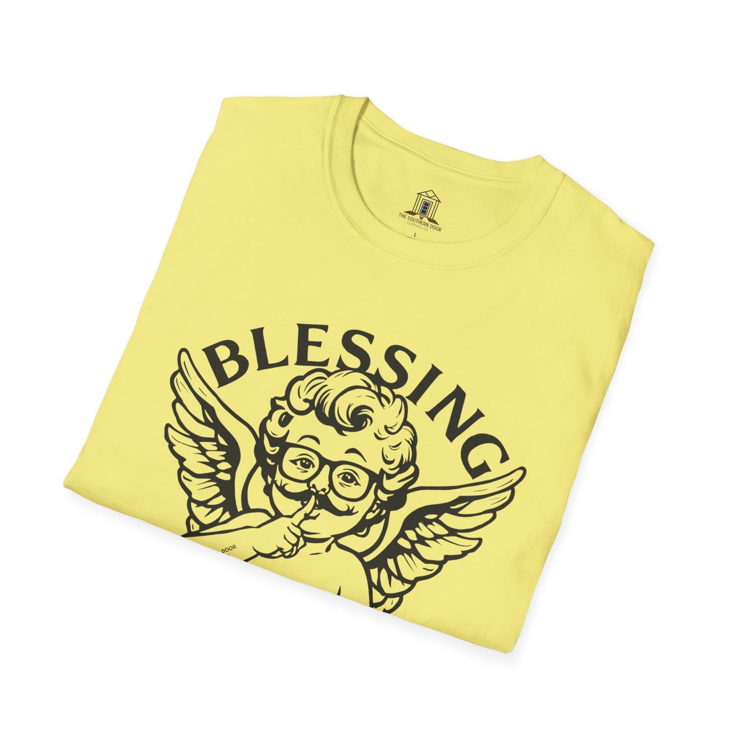 "Blessing In Disguise"